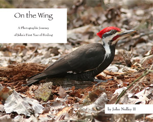 [COVER PHOTO] On the Wing: A Photographic Journey of John's First Year of Birding (by John Nolley II)