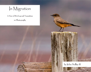 [COVER PHOTO] In Migration: A Year of Birding and Transition in Photography (by John Nolley II)