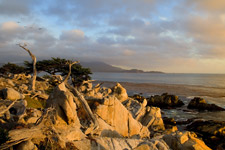 The beautiful Pacific coastline near Monterey, CA, along famed Seventeen Mile Drive.